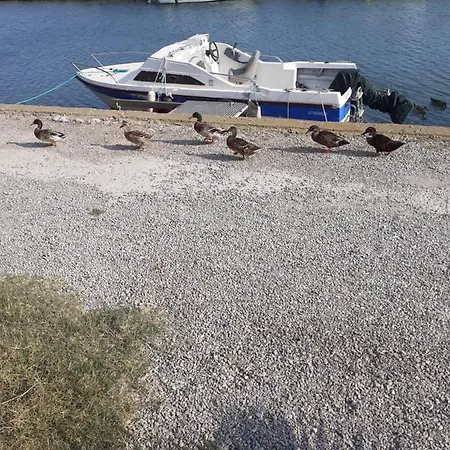 Villa La Petite Maison Au Bord Du Canal T2 - 3étoiles - *