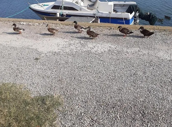 Villa La Petite Maison Au Bord Du Canal T2 - 3etoiles - *